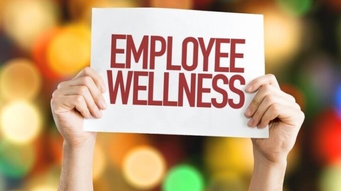 top employee benefits and perks