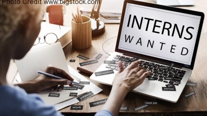 use free interns effectively